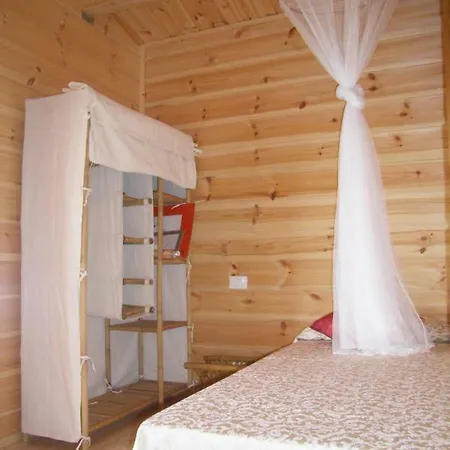 Log House *